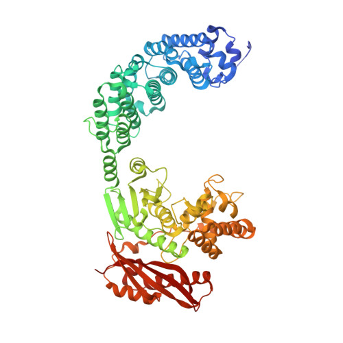 Collagenase I, from Clostridium histolyticum 9001-12-1